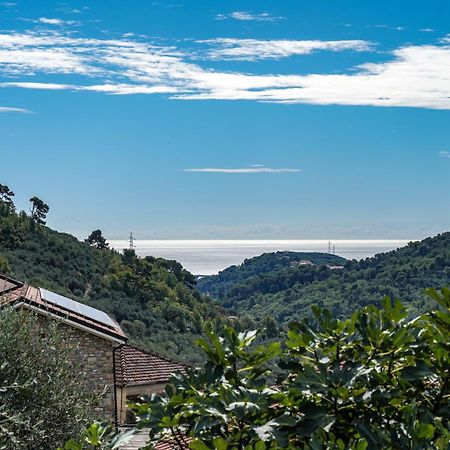 Agriturismo La Rocca 산토바르톨로메오알마레 외부 사진