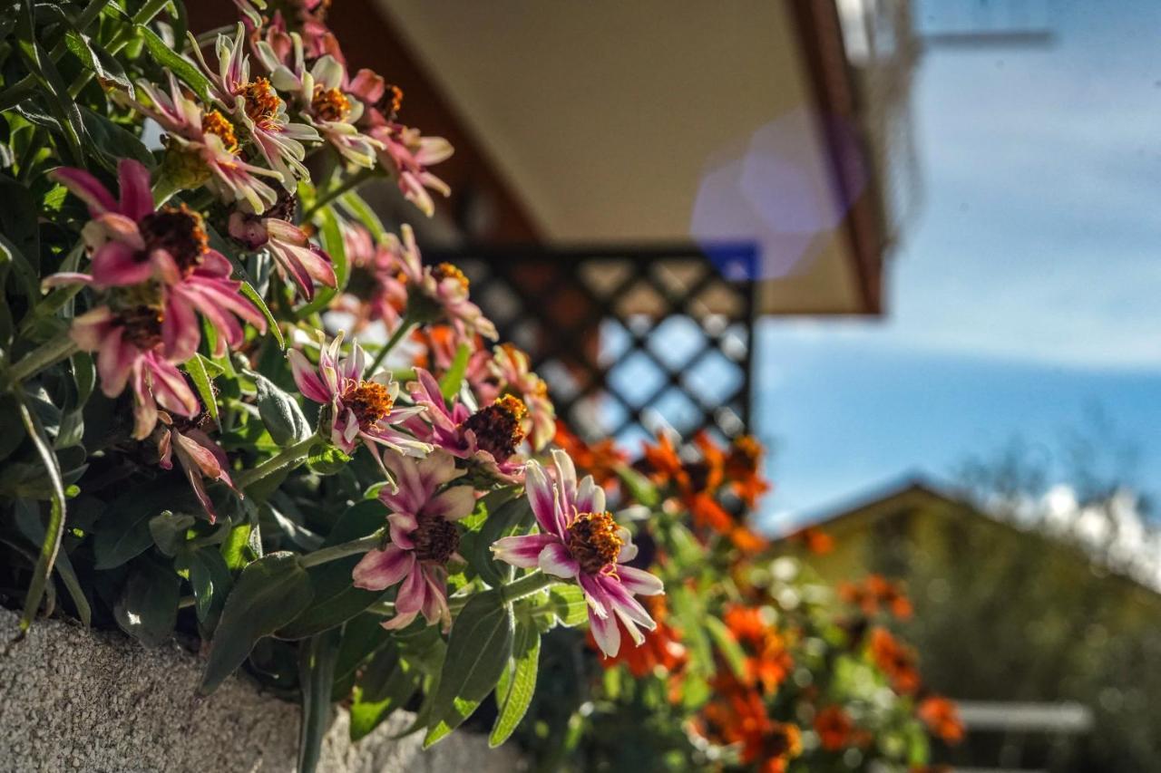 Agriturismo La Rocca 산토바르톨로메오알마레 외부 사진