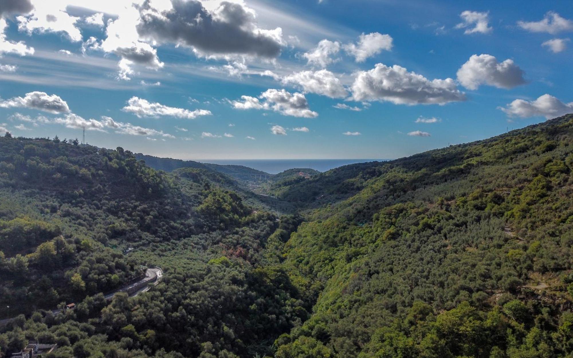 Agriturismo La Rocca 산토바르톨로메오알마레 외부 사진
