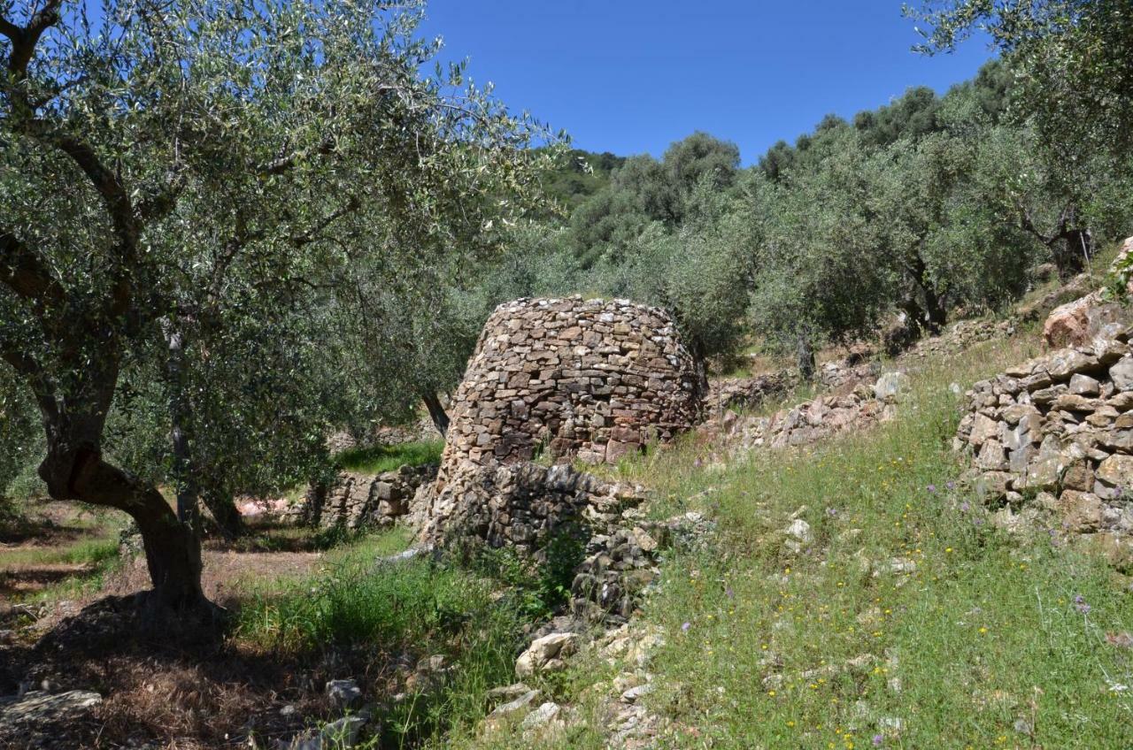 Agriturismo La Rocca 산토바르톨로메오알마레 외부 사진
